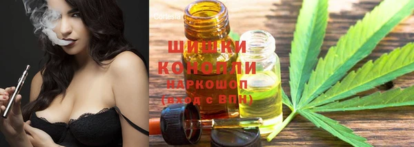 эйфоретик Вяземский