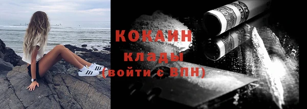 гашик Верея