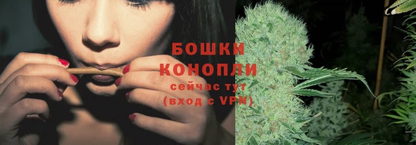 Альфа ПВП Горнозаводск