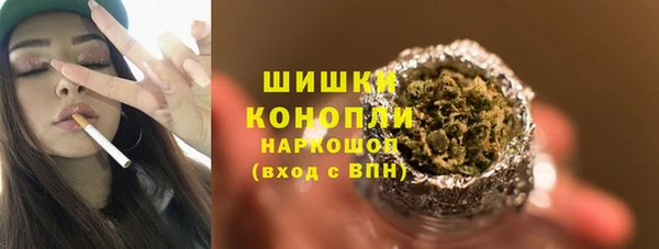 Альфа ПВП Горняк