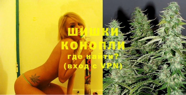 Альфа ПВП Горняк