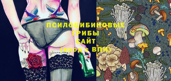 Альфа ПВП Горняк