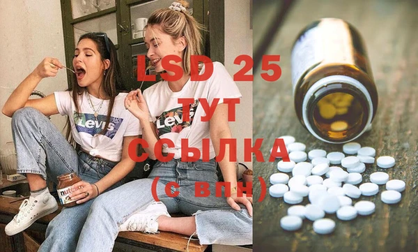 Альфа ПВП Горнозаводск