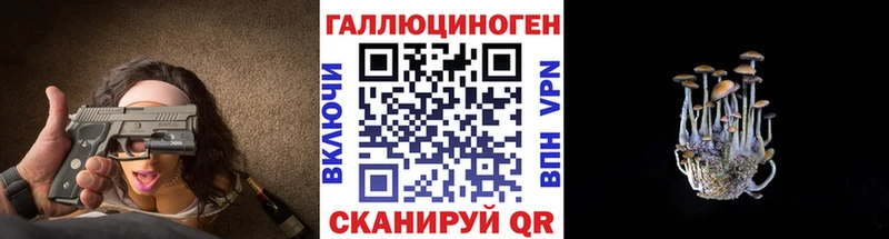 Псилоцибиновые грибы Psilocybe где купить блэк спрут зеркало Ершов