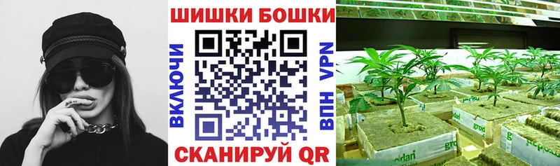 Бошки марихуана марихуана  darknet Telegram  Ершов 